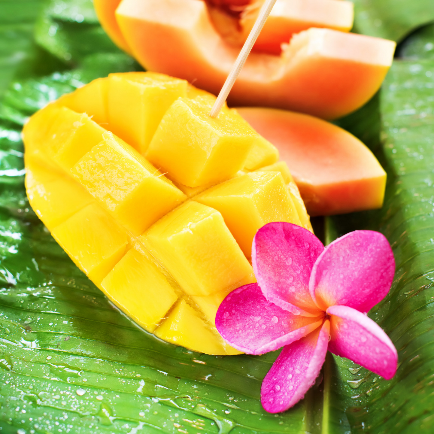 Mango Papaya
