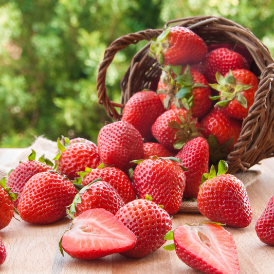 Fresas