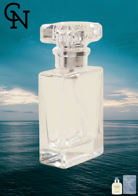 Light Blue / Dolce & Gabbana (Type)